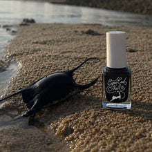 Load image into Gallery viewer, Devil’s Purse black nail polish by Cape Cod Nail Co.